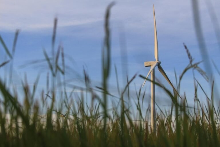 it solutions for growth